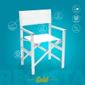 2 Portable Folding Beach Chairs, Aluminum & Textilene, Regista Gold Discounts