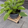 Square Wooden Plant Pot Trolley with Wheels On Sale