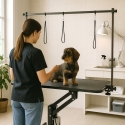 Hydraulic Adjustable Dog Grooming Table 110 cm Griffon Sale