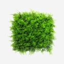 Artificial Hedge 50x50cm 3D Faux Fern Plant for Garden Balcony Pritus Promotion