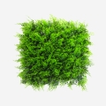 Artificial Hedge 50x50cm 3D Faux Fern Plant for Garden Balcony Pritus Promotion