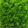 Artificial Hedge 50x50cm 3D Faux Fern Plant for Garden Balcony Pritus Sale