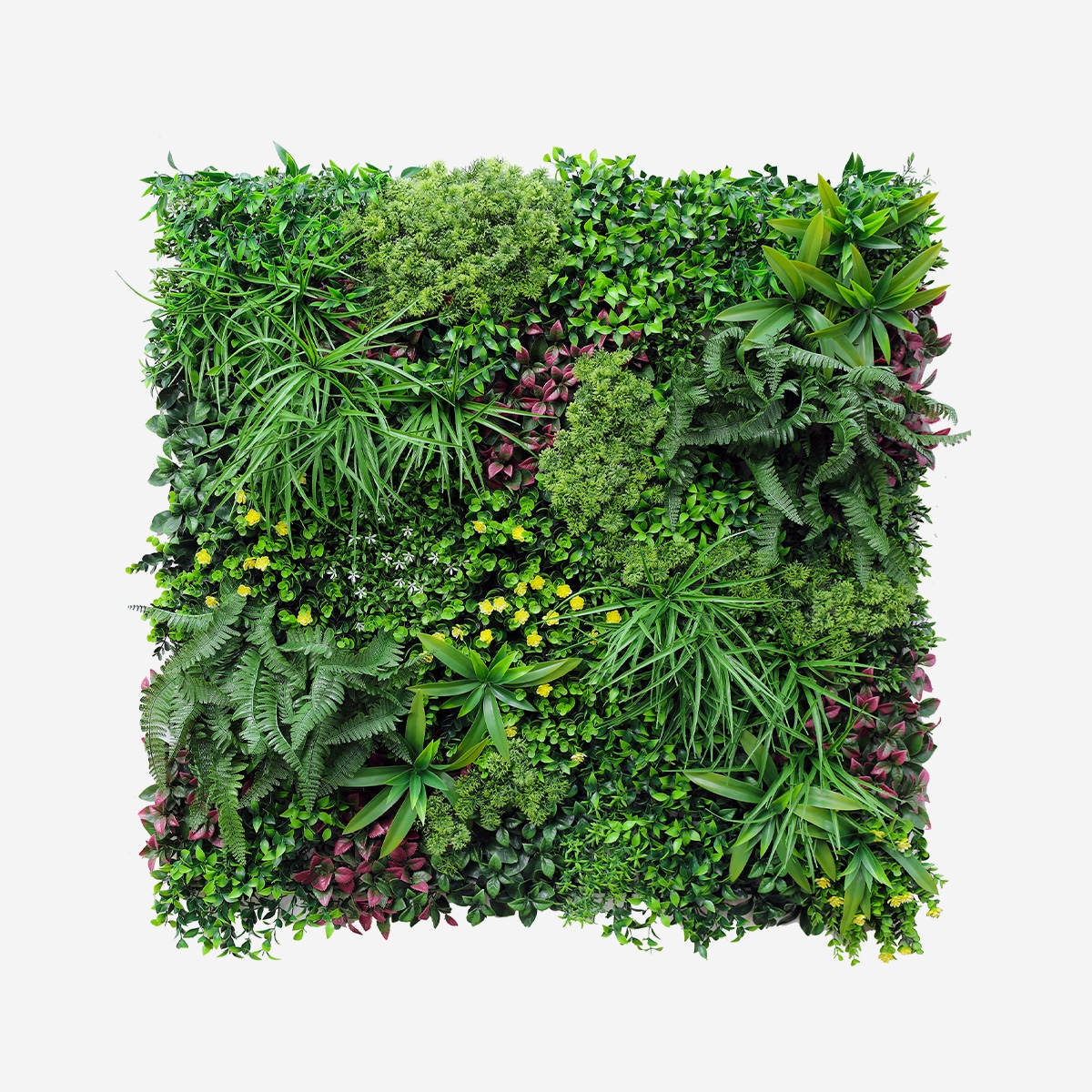 Realistic Artificial Hedge 100x100cm 3D Outdoor Garden Plants Ilex Promotion