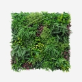 Realistic Artificial Hedge 100x100cm 3D Outdoor Garden Plants Ilex Promotion