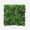Realistic Artificial Hedge 100x100cm 3D Outdoor Garden Plants Ilex Discounts
