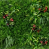 3D Artificial Hedge Panel 100x100cm Realistic Cerrum Plants Sale