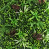 Realistic 3D Artificial Hedge 100x100cm for Balcony Garden Briux Sale