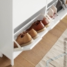 Entryway Shoe Cabinet with 4 Flip Compartments for 8 Pairs of Shoes Botes 