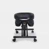 Swedish orthopaedic stool chair metal ergonomic leatherette Balancesteel Lux Bulk Discounts