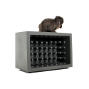 Designer Wine cellar SLIDE Bachus 