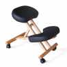 Wooden orthopaedic Swedish office stool ergonomic back chair Balancewood Price