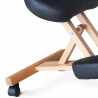Wooden orthopaedic Swedish office stool ergonomic back chair Balancewood Cheap