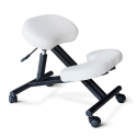 Orthopaedic ergonomic office chair Swedish metal stool Balancesteel Discounts