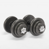 Set of 2 adjustable dumbbells with 20kg weights with carry case Hercules M On Sale