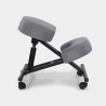 Swedish ergonomic orthopaedic stool chair Balancesteel Lux fabric Cost
