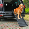 Portable Folding Plastic Ramp for Dogs Cody Choice Of