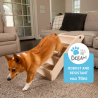 Folding plastic stairs with 4 steps for pets Diva On Sale