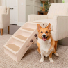 Folding plastic stairs with 4 steps for pets Diva Model