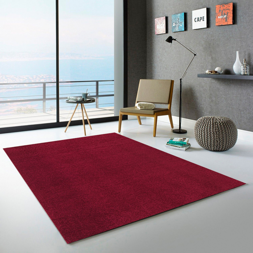 Anti-stress frisee low-pile modern carpet for living room Casacolora CCBOR Promotion