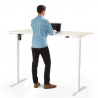 Height adjustable electric design desk for office and studio Standwalk 160x80 Buy