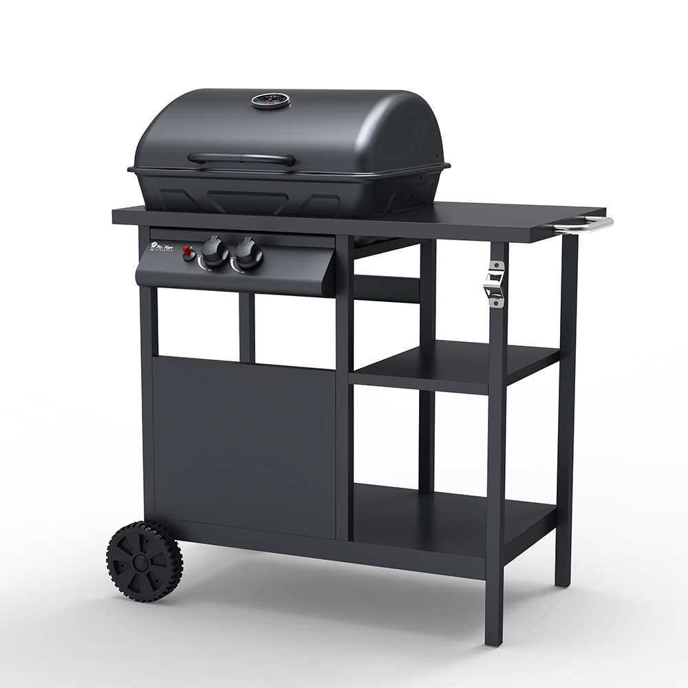 Stainless Steel Gas BBQ Grill 2 Burners with Rack Bagnét Verd Fr