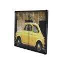 Canvas car canvas with tubular metal frame 80x60cm Cinquecento Offers