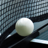 60 professional table tennis balls diameter 40 mm Koule Offers