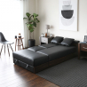 Subadra Lux 2 seater leatherette double sofa bed with pouf cup holder Price