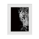 Print photograph black and white picture animals leopard 40x50cm Variety Kambuku On Sale