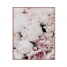 Print theme flower frame painting nature 40x50cm Variety Luludi On Sale