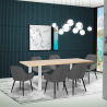 Set of 6 Modern Design Velvet Chairs with 180x80cm Dining Table, Samsara L3 Sale