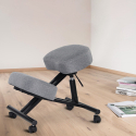Swedish ergonomic orthopaedic stool chair Balancesteel Lux fabric Discounts