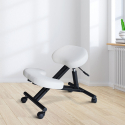 Orthopaedic ergonomic office chair Swedish metal stool Balancesteel Offers