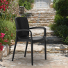 BOHÈME ARM Garden Dining Chair With Armrests Rattan Buy