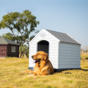 Kennel house for large dogs in plastic garden Rock On Sale