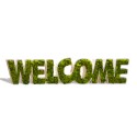 Lichen moss-stabilised vegetal sign Welcome decoration Offers