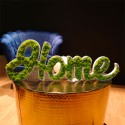 Plant inscription with stabilized lichen moss decoration Home