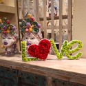 Stabilised lichen moss heart decoration Love Discounts