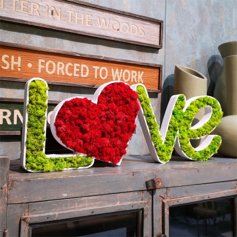 Stabilised lichen moss heart decoration Love Promotion
