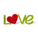 Plant lettering moss lichen stabilized heart decoration Love