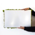 Plant pictures stabilized 4 60x40cm panels GreenBox Kit Lichene