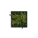 Plant paintings stabilized flowers plants wall ForestMoss Persefone