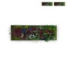 Stabilised plant pictures garden green flowers ForestMoss Demetra On Sale