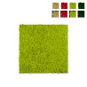 Stabilised plant pictures vertical garden moss green Lichen On Sale