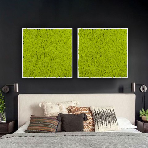 Stabilised plant pictures vertical garden moss green Lichen Promotion
