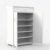 Modern shoe cabinet 2 doors drawer 15 pairs of shoes 63x33x95cm Avalyne Choice Of